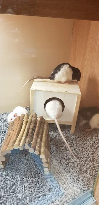 Pets at Home Doncaster Thorne Rd Picture 2