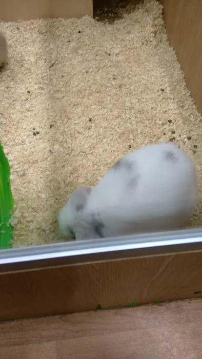 Pets at Home Doncaster Thorne Rd Picture 9