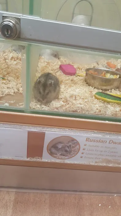 Pets at Home Doncaster Thorne Rd Picture 10