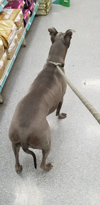 Pets at Home Doncaster Picture 6