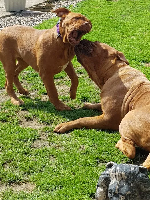 Pets at Home Doncaster Picture 9