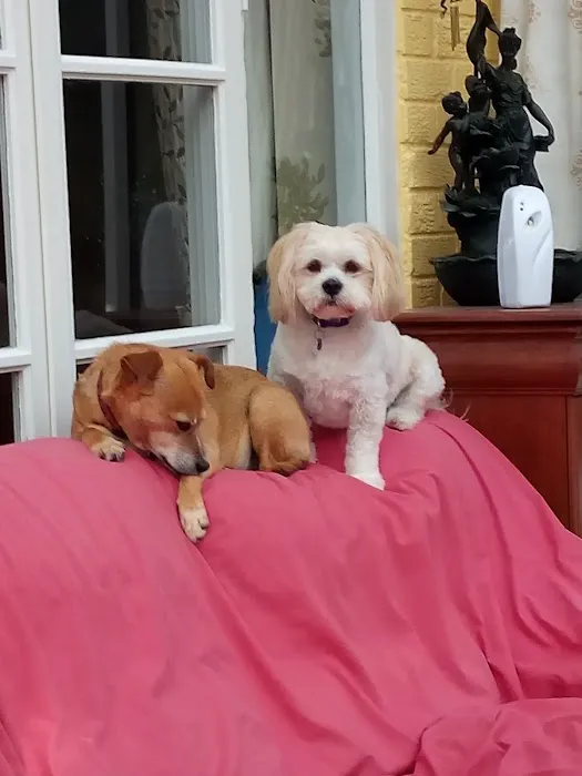 Pets at Home Doncaster Picture 10