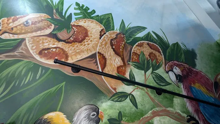 South Elmsall Pets Ltd Picture 5