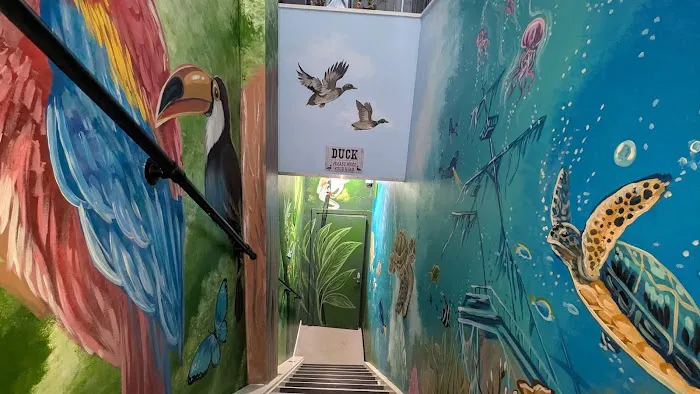 South Elmsall Pets Ltd Picture 7