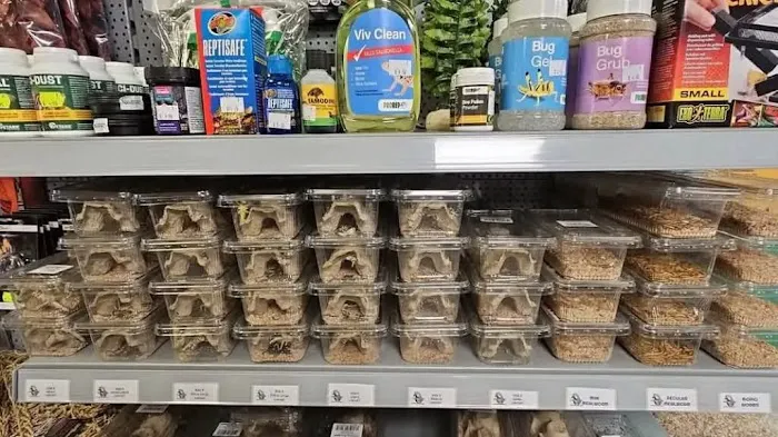 South Elmsall Pets Ltd Picture 8