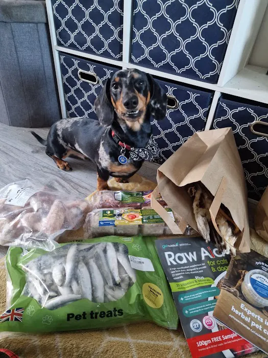 J&A Raw 4 the Paws Picture 7