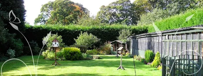 Evergreen Cattery Picture 1