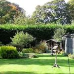 Evergreen Cattery
