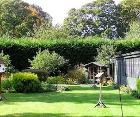 Evergreen Cattery