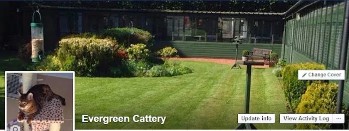 Evergreen Cattery Picture 4