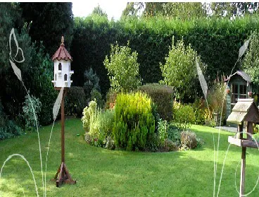 Evergreen Cattery Picture 2
