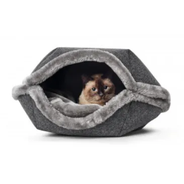 Epworth Wags & Whiskers Picture 1