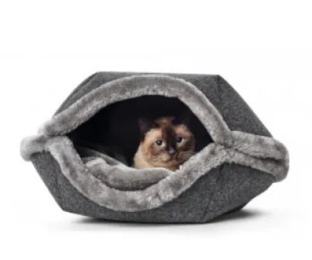 Epworth Wags & Whiskers