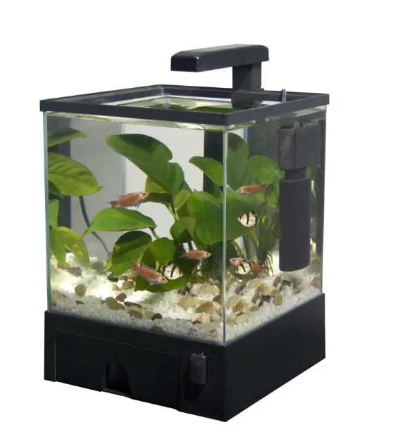 Epworth Wags & Whiskers Picture 2