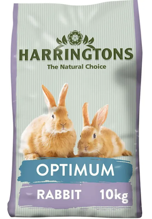 Epworth Wags & Whiskers Picture 4