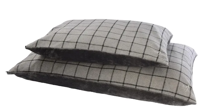 Epworth Wags & Whiskers Picture 7