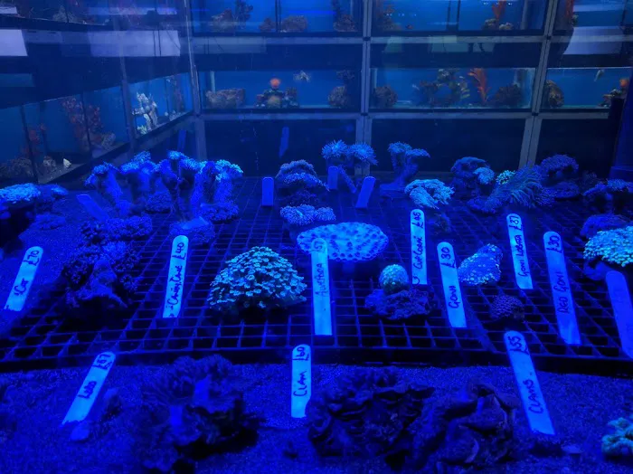 M And L Aquatics Picture 4