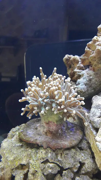 M And L Aquatics Picture 7