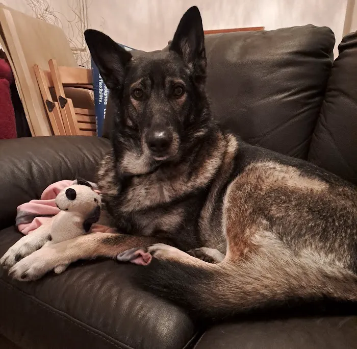 Tilly's Treat Cupboard Picture 2