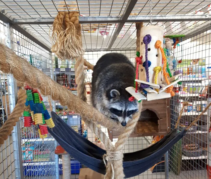 Discount Pet Warehouse ltd Picture 2