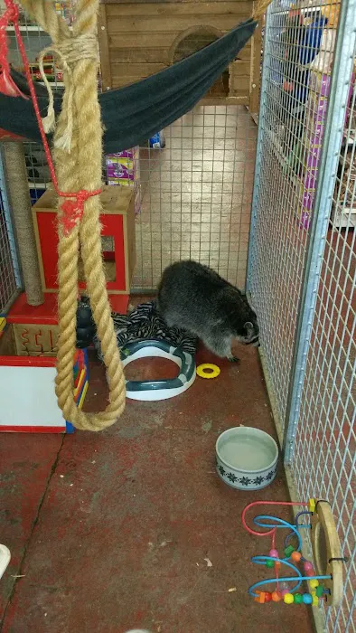 Discount Pet Warehouse ltd Picture 6