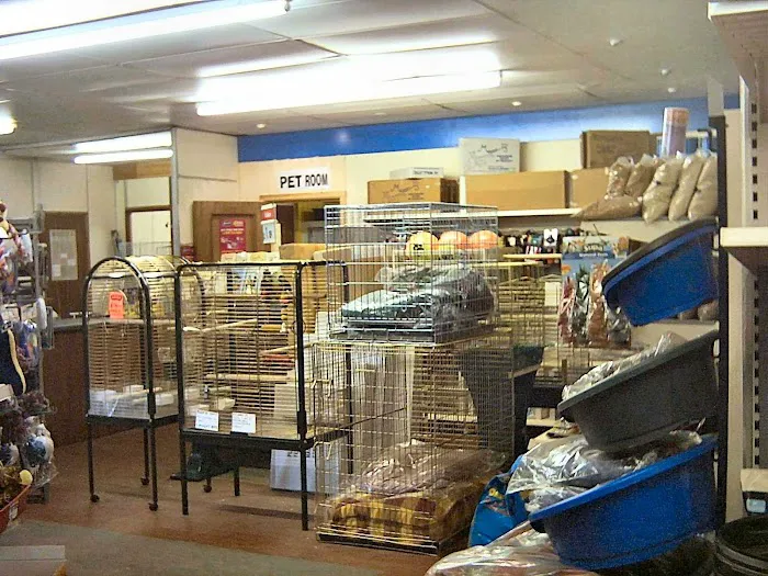 Discount Pet Warehouse ltd Picture 5