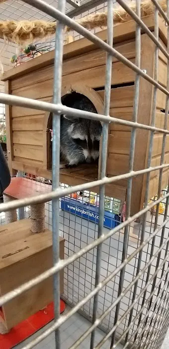 Discount Pet Warehouse ltd Picture 7