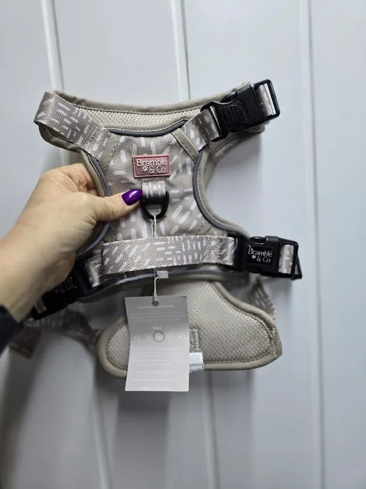 Teddy Pawfect Pantry Picture 3