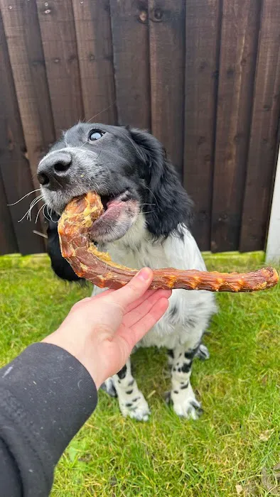 Teddy Pawfect Pantry Picture 1