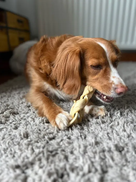 Teddy Pawfect Pantry Picture 5