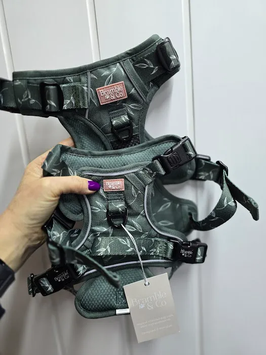 Teddy Pawfect Pantry Picture 4