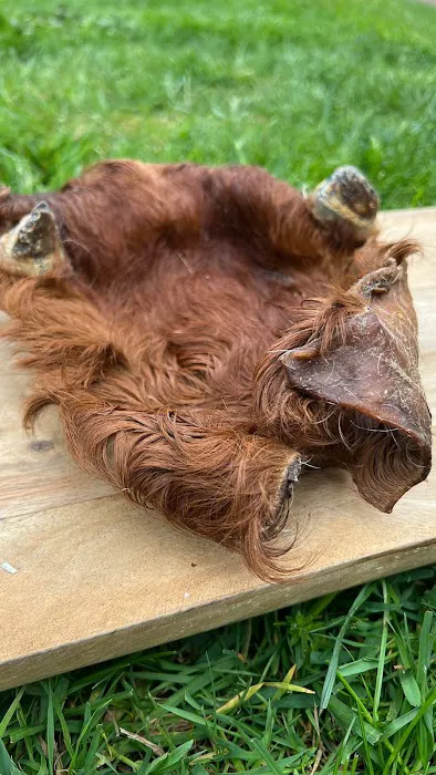 Teddy Pawfect Pantry Picture 6