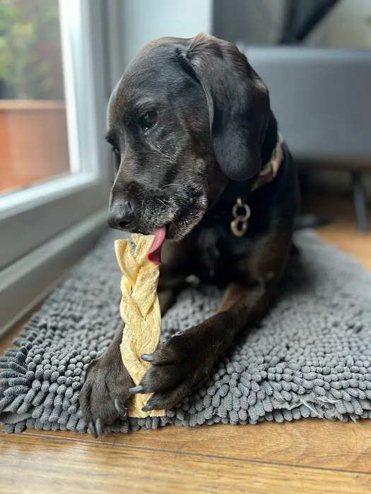 Teddy Pawfect Pantry Picture 7