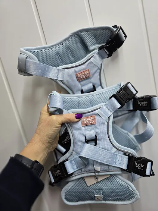 Teddy Pawfect Pantry Picture 8