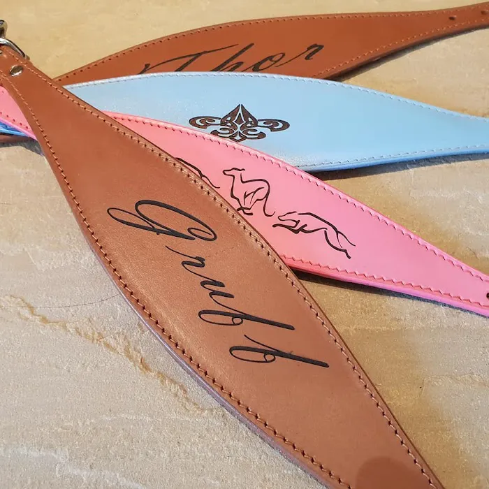 Whippet Greyhound Sighthound collars 4doggies ltd Picture 1