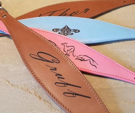 Whippet Greyhound Sighthound collars 4doggies ltd