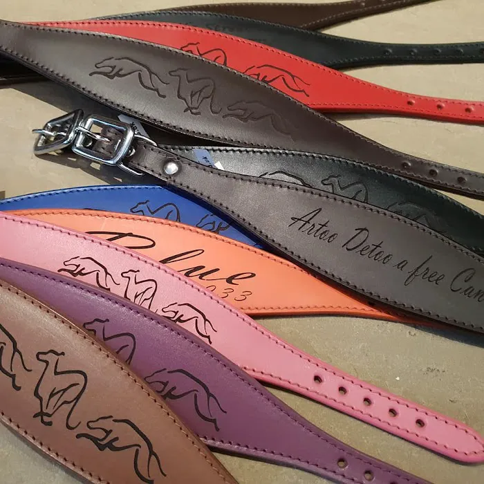 Whippet Greyhound Sighthound collars 4doggies ltd Picture 6