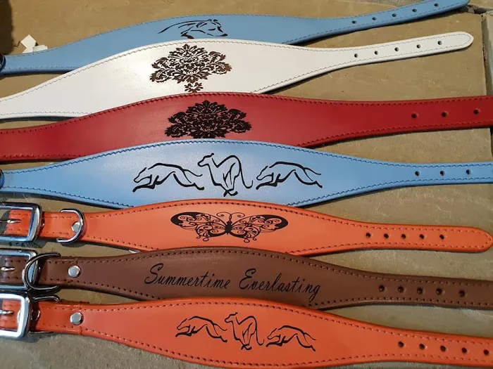 Whippet Greyhound Sighthound collars 4doggies ltd Picture 8