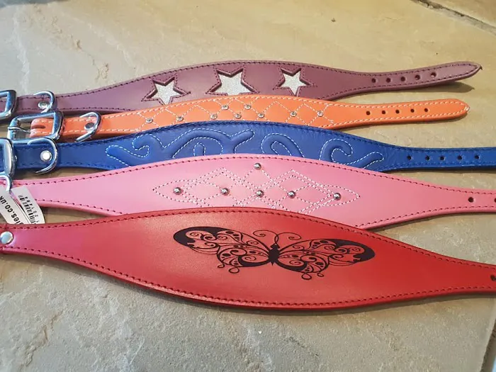 Whippet Greyhound Sighthound collars 4doggies ltd Picture 5