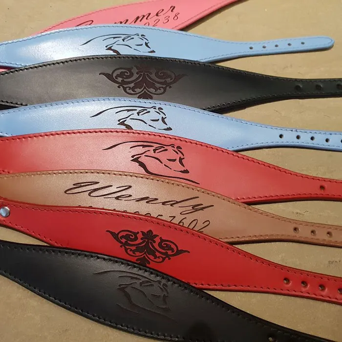 Whippet Greyhound Sighthound collars 4doggies ltd Picture 10