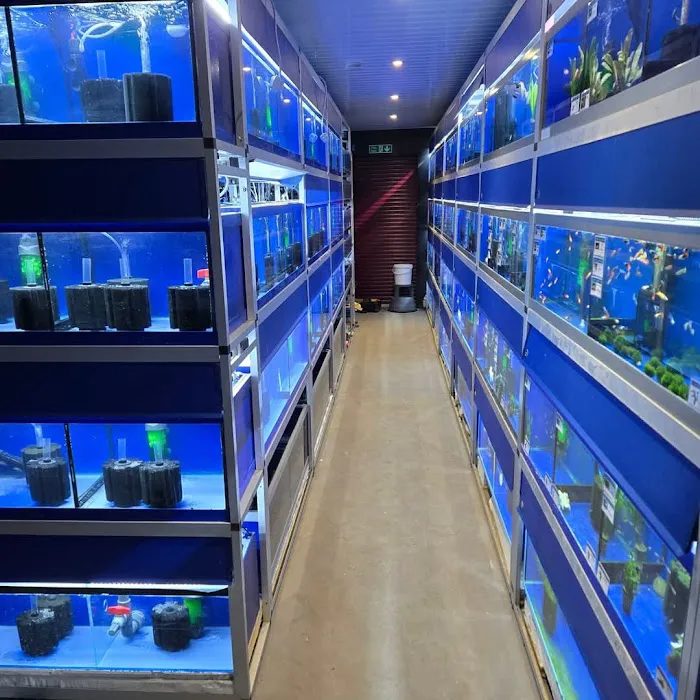 S&C Aquatic World - Tropical/Marine Picture 2