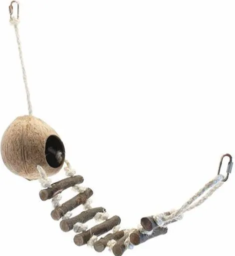 Perfect 4 paws Picture 9