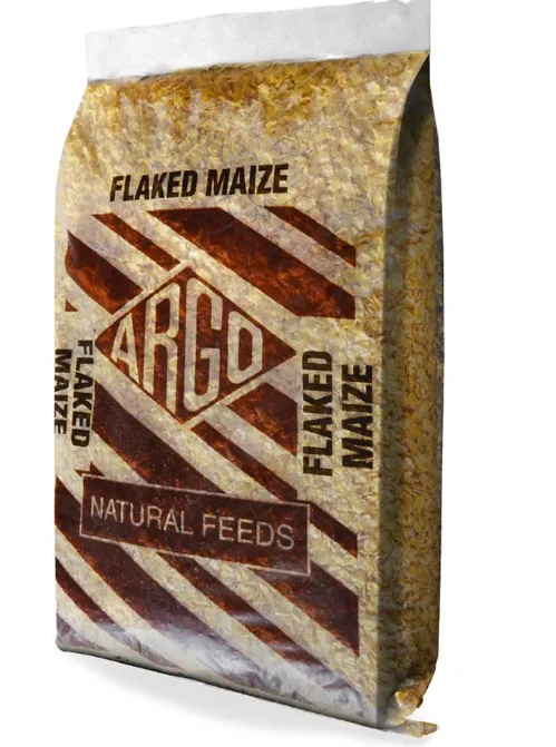 Perfect 4 paws Picture 5