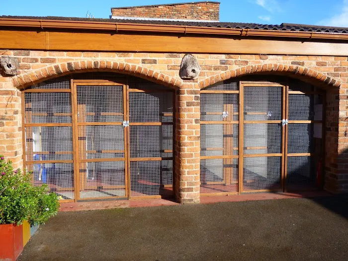 Sandtoft Cattery Picture 2
