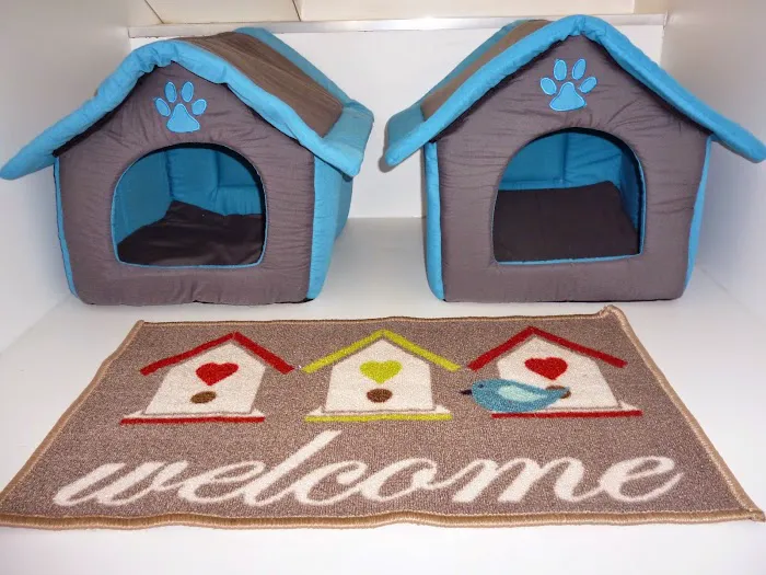 Sandtoft Cattery Picture 4