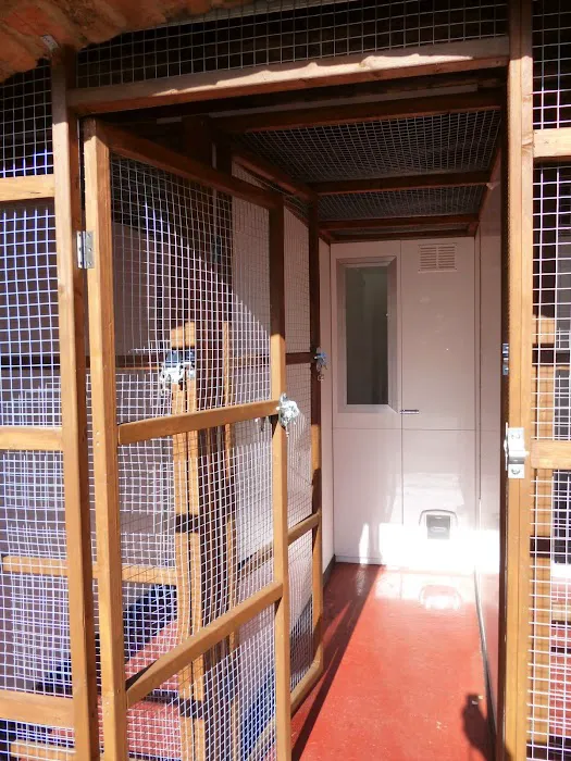 Sandtoft Cattery Picture 6
