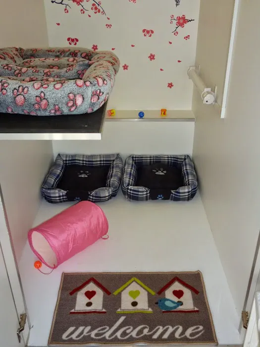 Sandtoft Cattery Picture 7