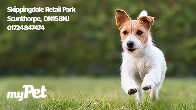 myPET | Pet & Aquatic Supplies Picture 2