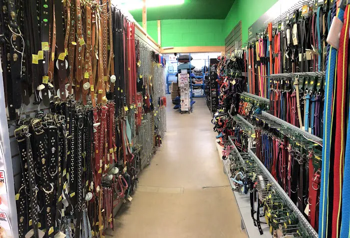 myPET | Pet & Aquatic Supplies Picture 3