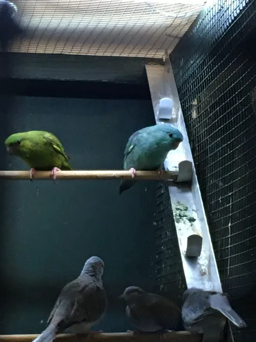 myPET | Pet & Aquatic Supplies Picture 5